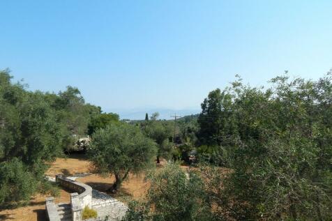 Garden from upstairs