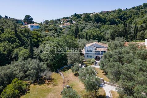 Aerial shot