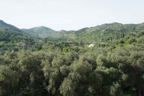 mountain views