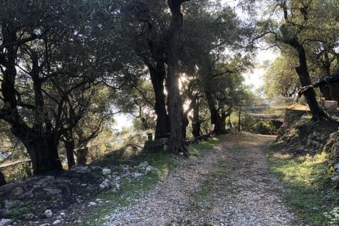 Road