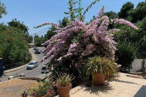 terrace and small garden area