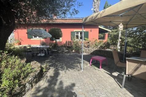 Back garden