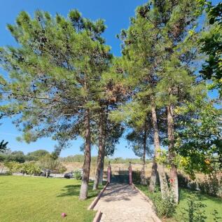 pathway to the house