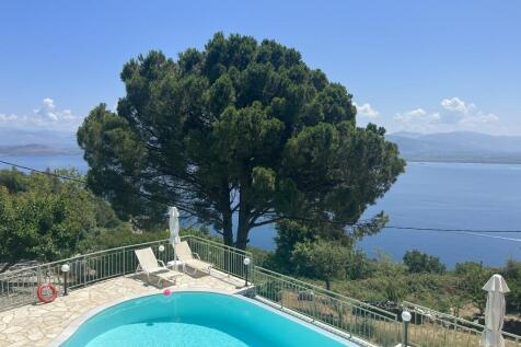 Pool and tree