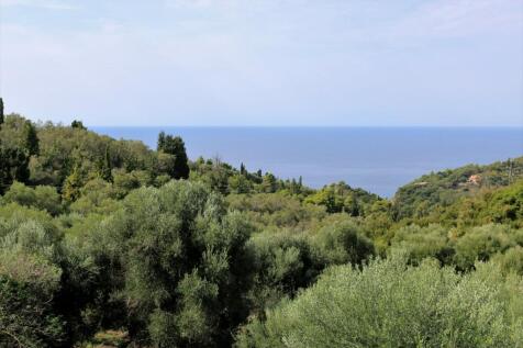 view from the rooms