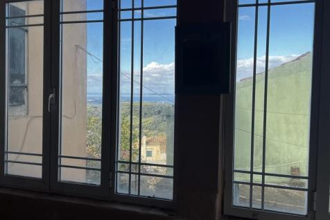 Views from the dining room