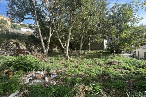 land at back