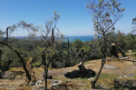 Land and View