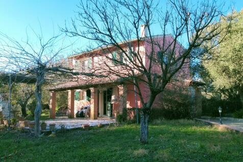 House from the garden