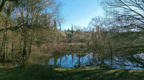 the lake