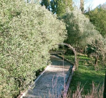Pathway