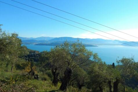 Trees and view