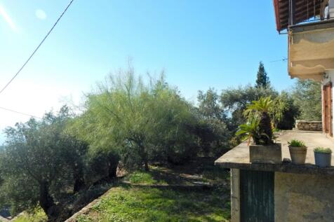 House and garden