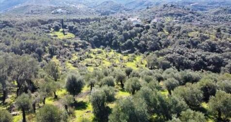 Land