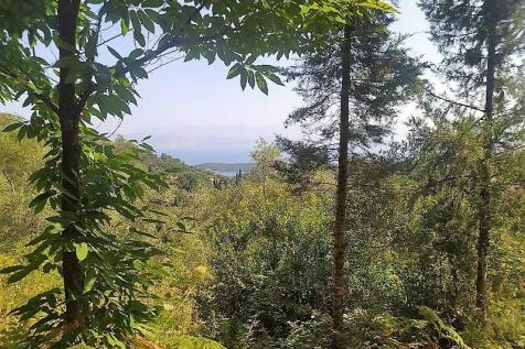 Land