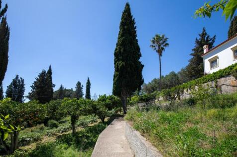 Lower garden