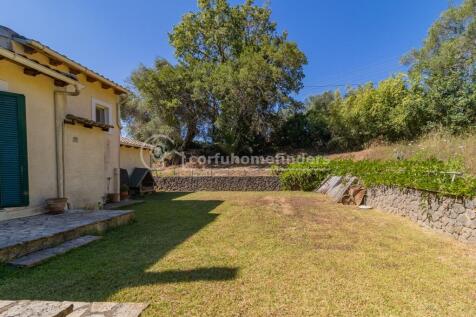 Back garden