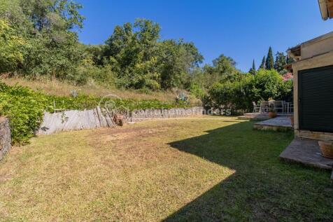 Back garden from gate