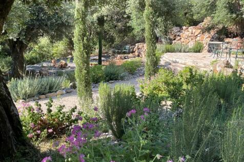 Med garden