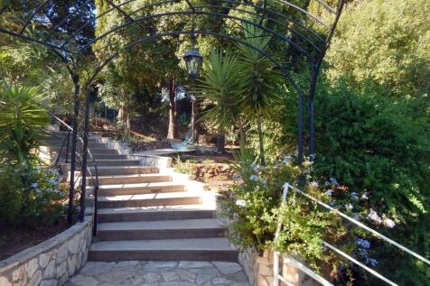 Steps to main house