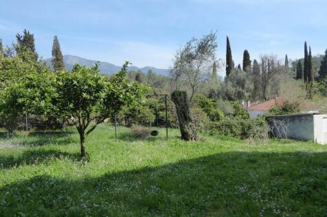 the lovely garden