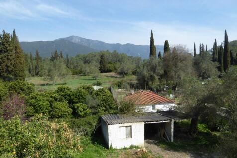 the view of the garden