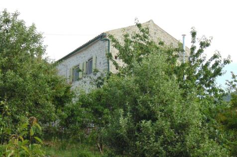 View from the garden