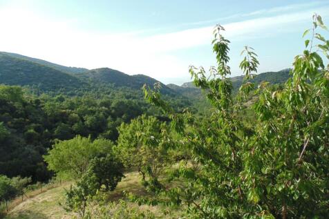 Garden &amp; view
