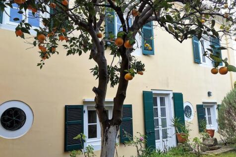 side of the house and garden