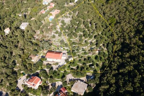 Aerial shot