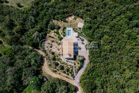 Aerial shot