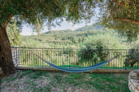 Hammock