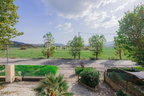 View from terrace