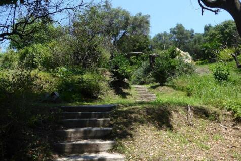 Stairway leading to the house
