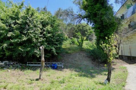 Entrance to the plot and to the house
