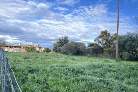 whole land