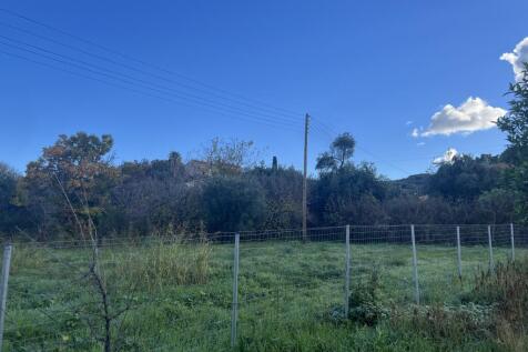 from side
