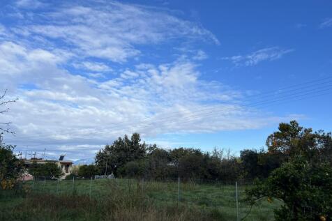 from neighbour