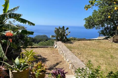 Garden to view