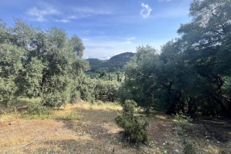  land
