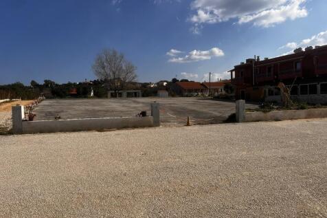 The land