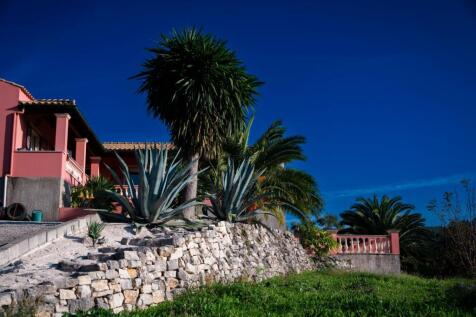 yuccas