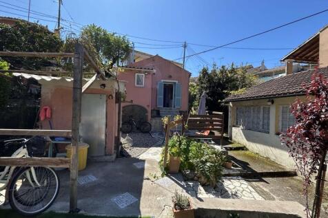 Back garden