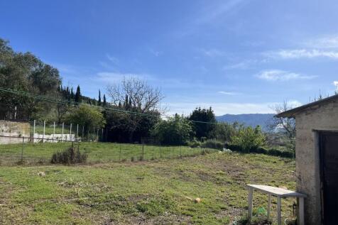 back garden