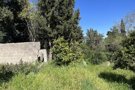back garden