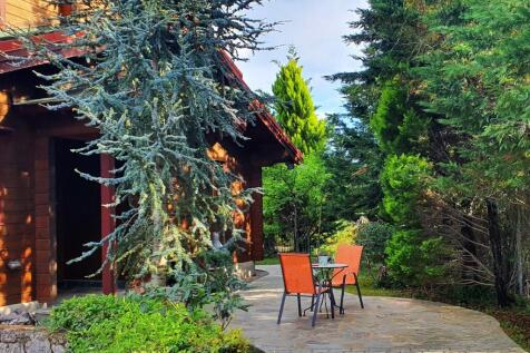 Rear of the property
