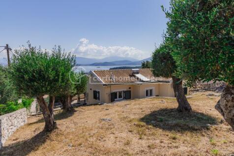 Rear garden to view