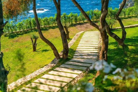Pathway through the trees
