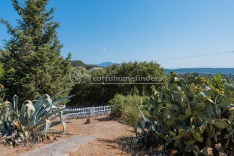 Garden by the road