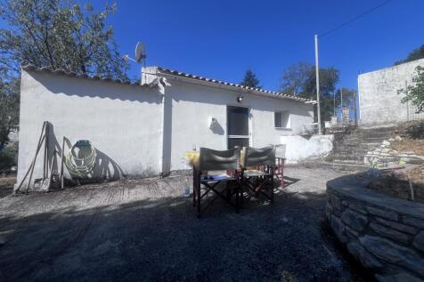 the house